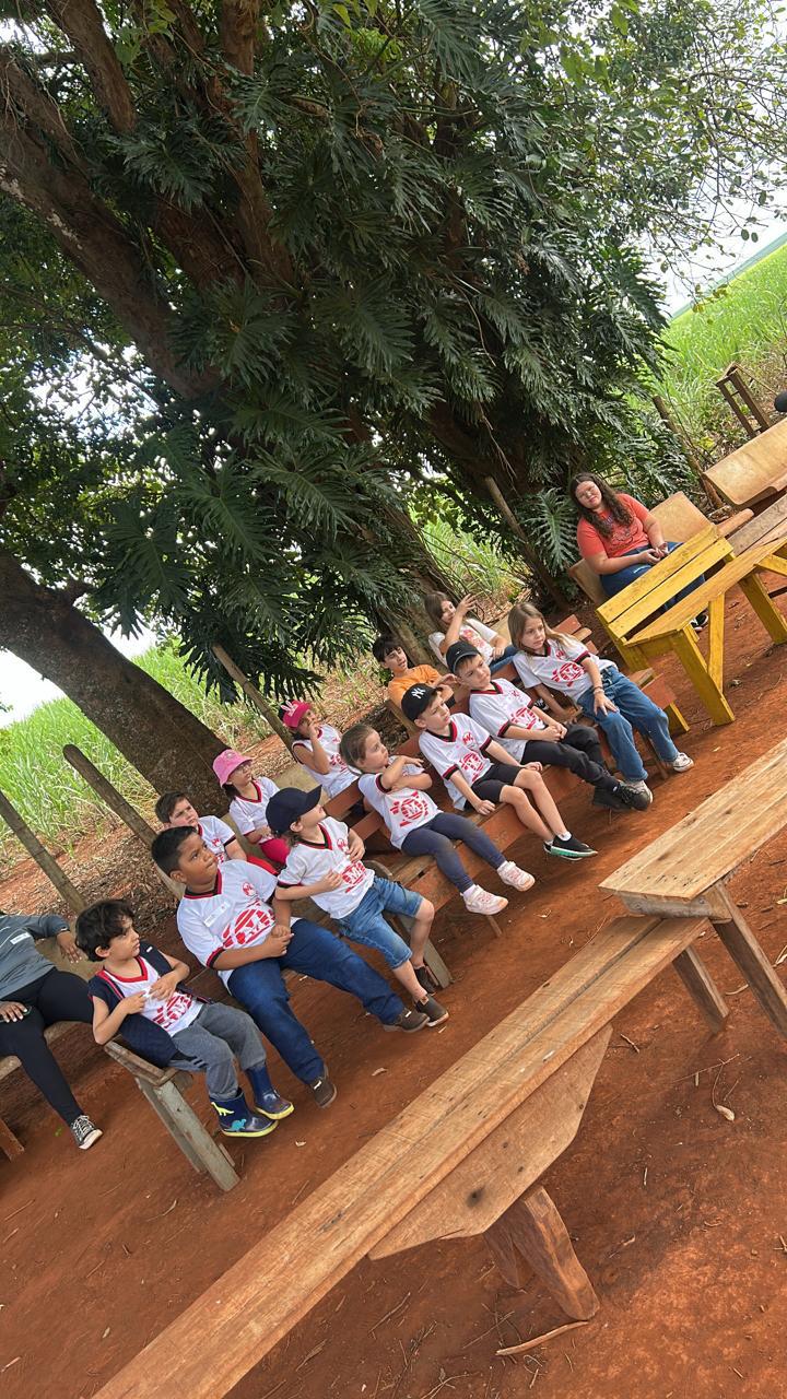 Passeio na fazendinha 3 porquinhos