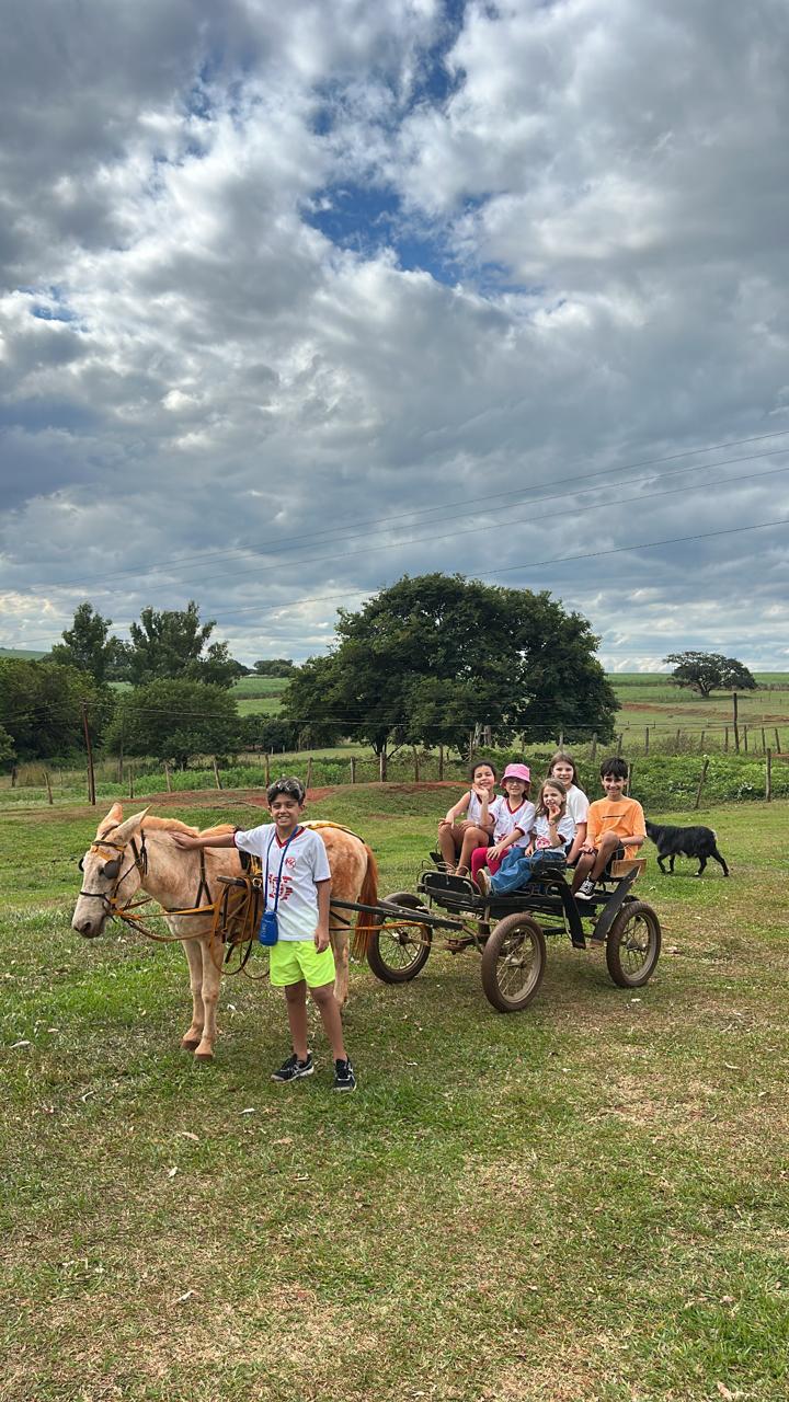 Passeio na fazendinha 3 porquinhos